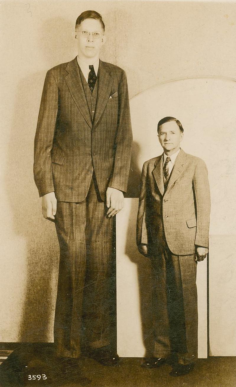 1. Robert Wadlow (USA) 1. Robert Wadlow (USA)