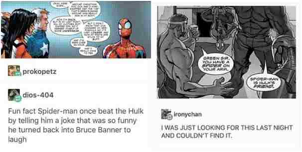 The 9 Most Interesting Spider Memes In 2021. 7 SPIDER MEMES