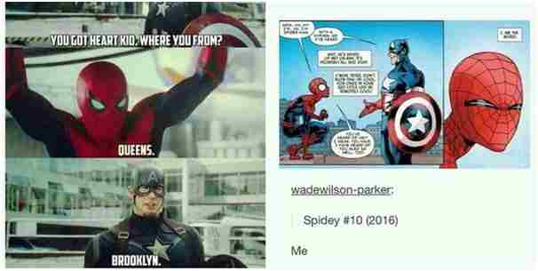 The 9 Most Interesting Spider Memes In 2021. 11 SPIDER MEMES