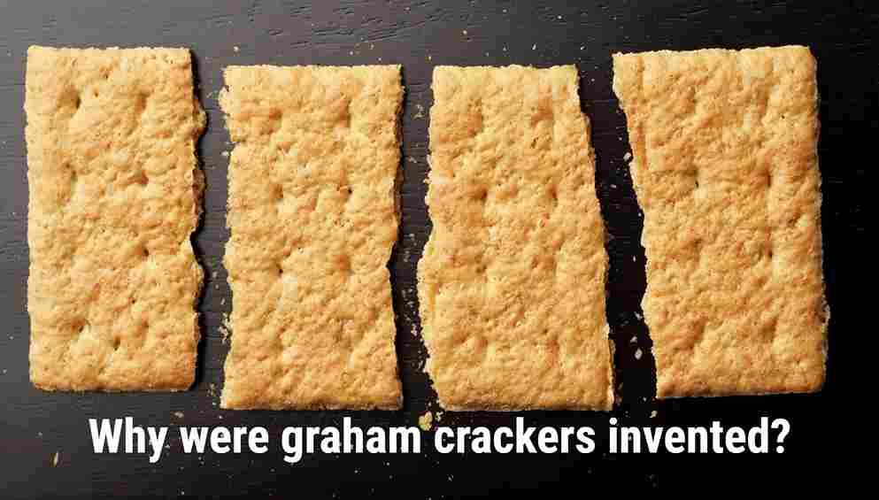 FotoJet 69 11zon graham crackers
