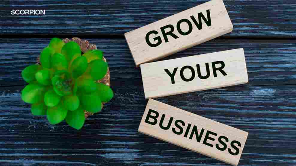 Grow Your Businesss