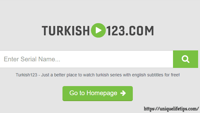 Capture 1 Turkish123.com