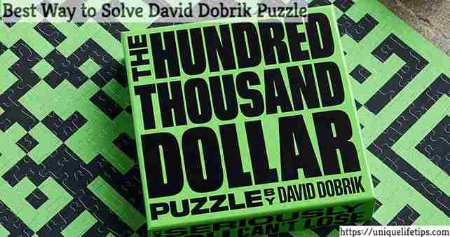 David Dobrik 100000 Puzzle 1 David Dobrik