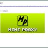 MiniProxy
