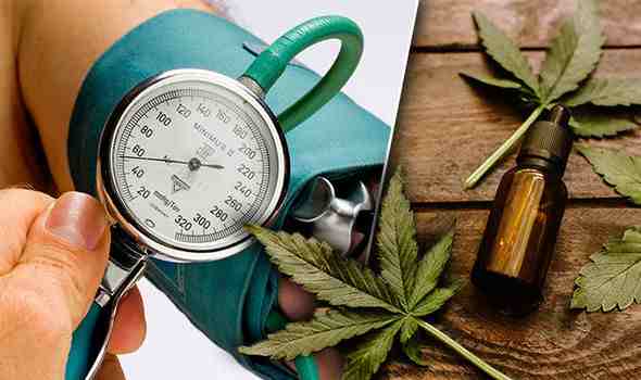 high blood pressure diet cbd oil hypertension sign 981564 11zon Marijuana