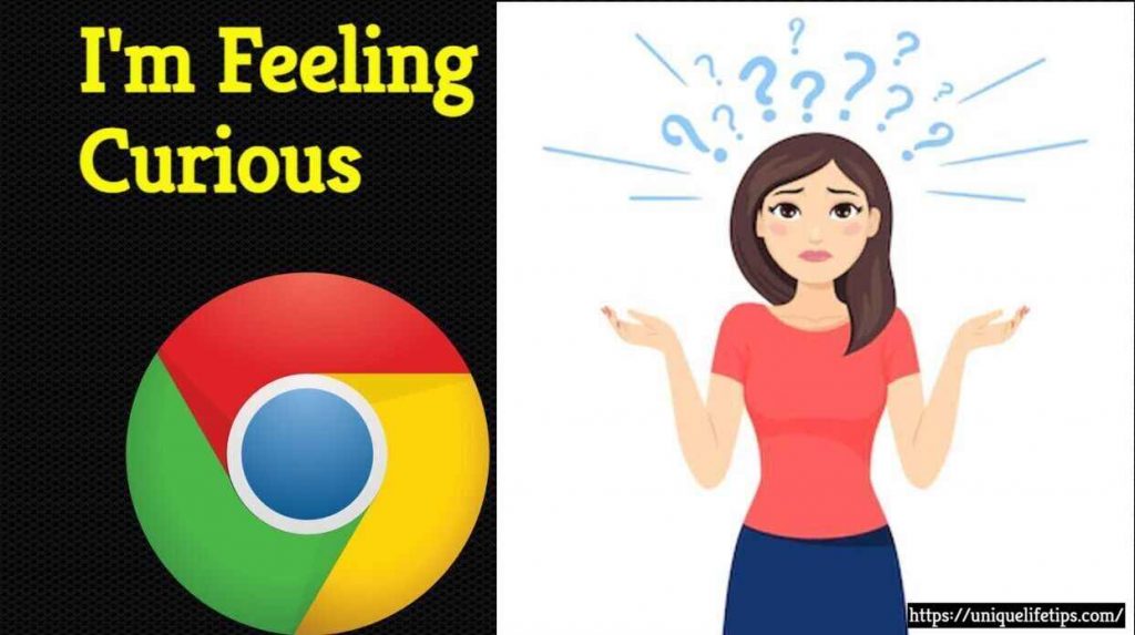 1129018 4 9 11zon I'm Feeling Curious