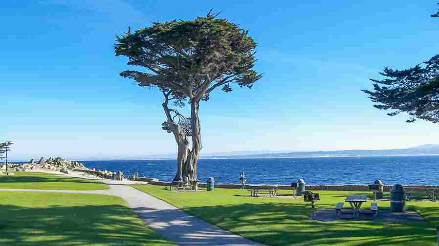 California 11zon California