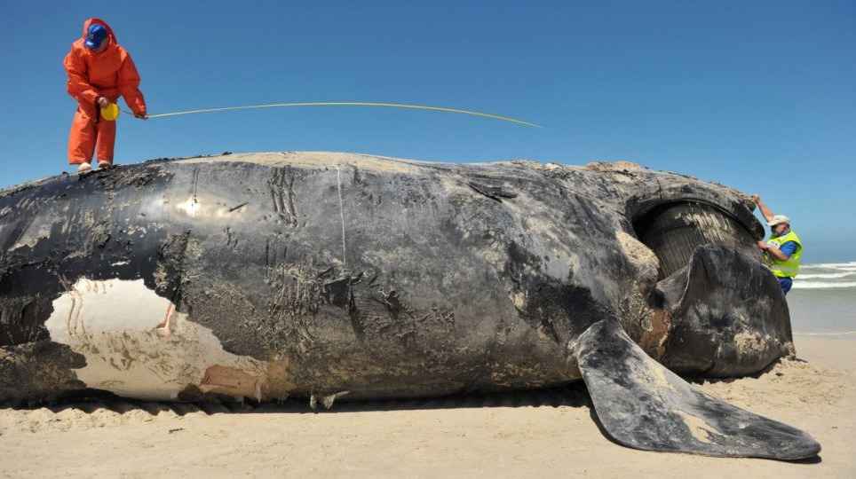 11zon cropped 2023 02 23T123127.839 11zon