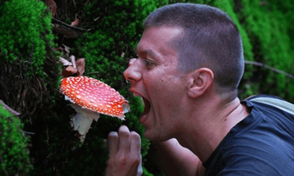 11zon cropped 31 11zon 11zon cropped 31 11zon