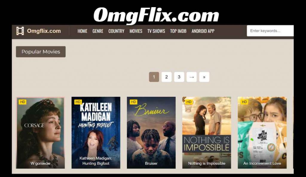 Omgflix Review: Watch Latest Movies And Tv Shows Safely. 26 Omgflix