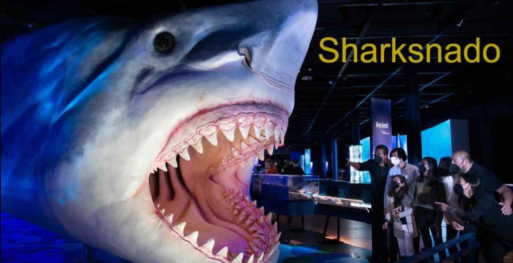 Sharksnado Reviews - Everything You Need to Know - 2023 25 Sharksnado