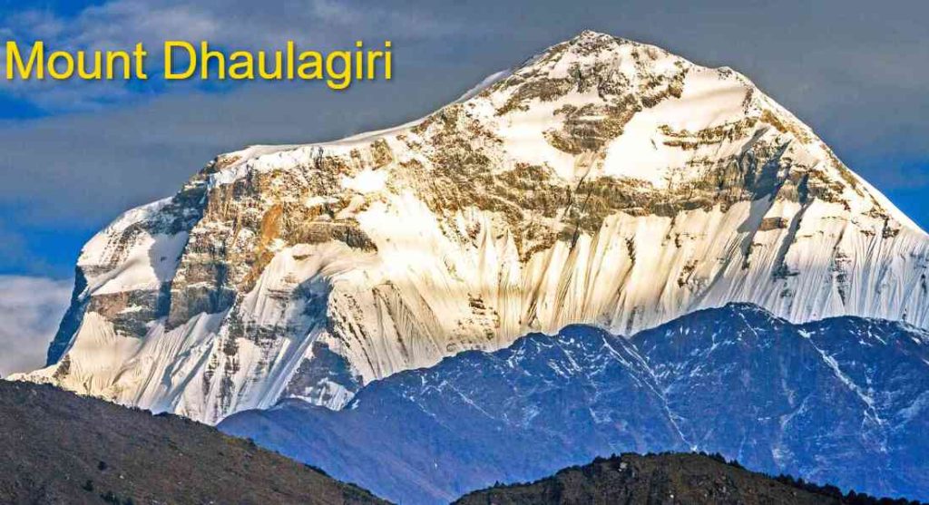 Screenshot 2023 03 30T040453.981 11zon Screenshot 2023 03 30T040453.981 11zon