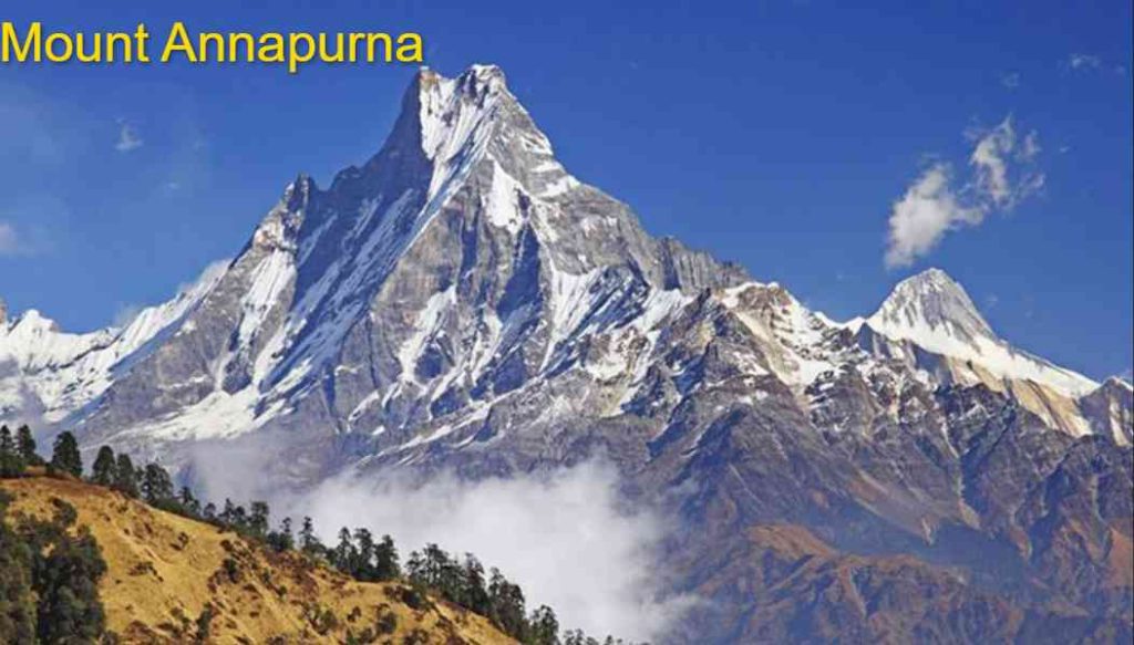 Screenshot 2023 03 30T044043.259 11zon Screenshot 2023 03 30T044043.259 11zon