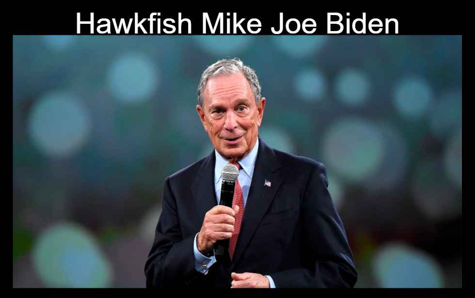 Screenshot 2023 04 13T021354.542 11zon Hawkfish Mike Joe Biden Mayschleifervox