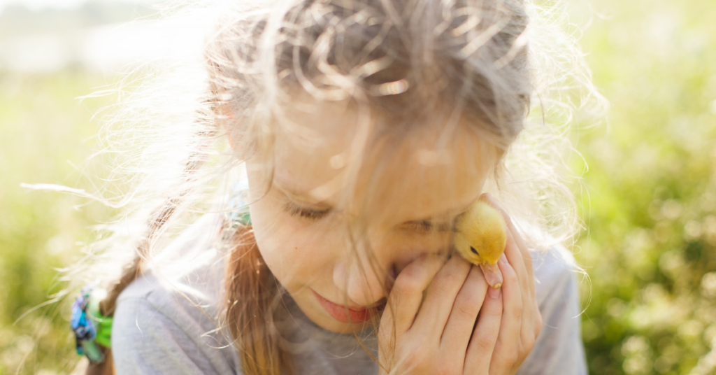 Child Advocacy and Legal Aid Child Advocacy and Legal Aid