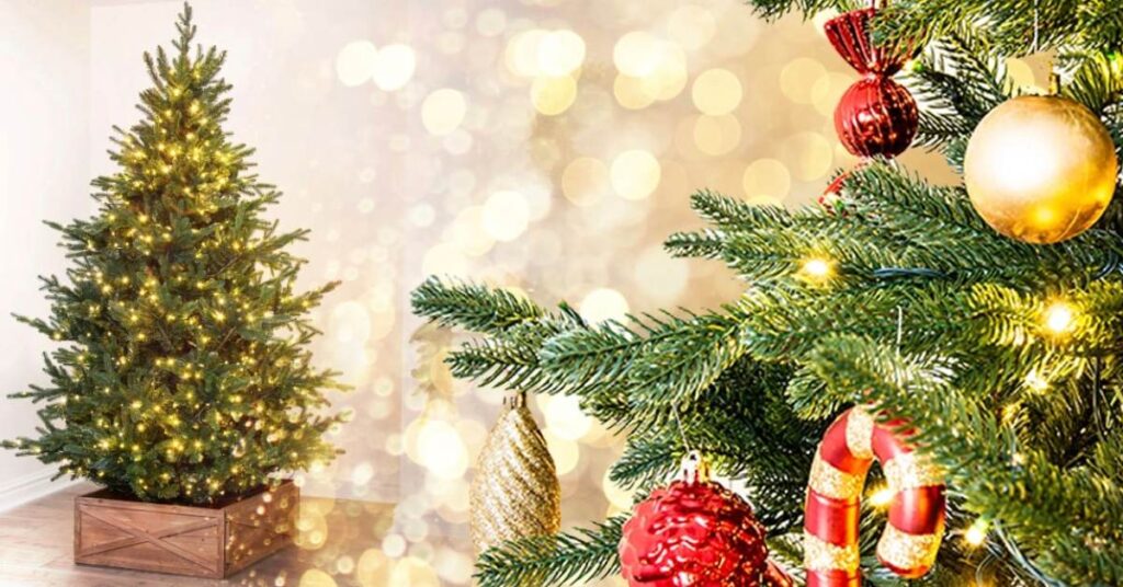 Christmas Tree Christmas Tree